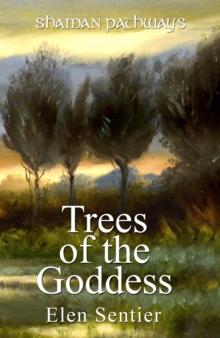 Shaman Pathways - Trees of the Goddess : A New Way of Working With the Ogham