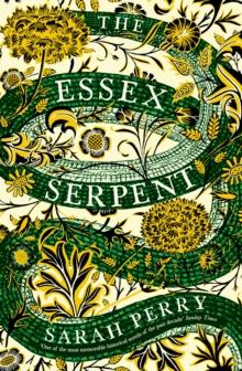 The Essex Serpent : The Sunday Times bestseller