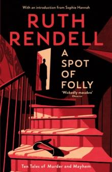 A Spot of Folly : Ten Tales of Murder and Mayhem