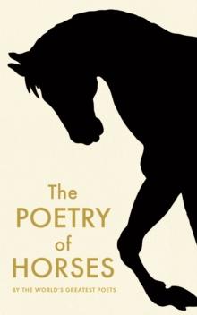 The Poetry of Horses