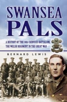 Swansea Pals : A History of the 14th (Service) Battalion, The Welsh Regiment in The Great War