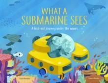 What A Submarine Sees : A fold-out Journey Under The Waves