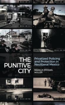 The Punitive City : Privatized Policing and Protection in Neoliberal Mexico