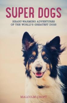 Super Dogs : Heart-Warming Stories of the World's Greatest Dogs