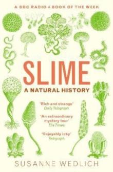 Slime : A Natural History