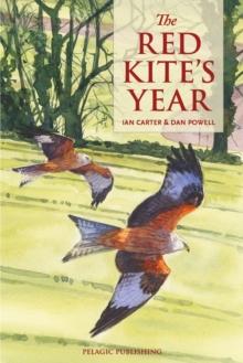 The Red Kites Year