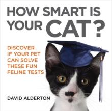 How Smart Is Your Cat? : Discover If Your Pet Can Solve These Fun Feline Tests