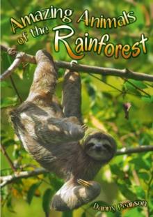 Amazing Animals of the Rainforest