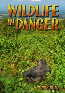 Wildlife in Danger