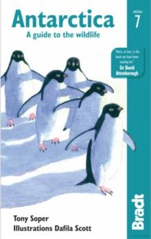 Antarctica : A Guide to the Wildlife