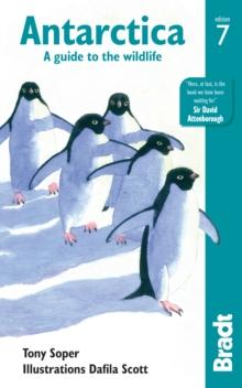 Antarctica : A Guide to the Wildlife