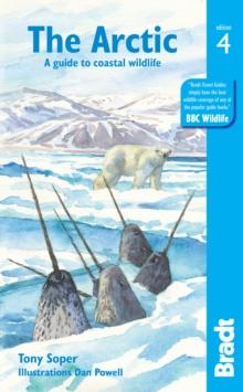 Arctic : A guide to coastal wildlife