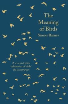 The Meaning of Birds