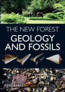 The New Forest : Geology and Fossils