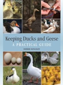 Keeping Ducks and Geese : A Practical Guide