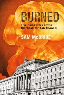 Burned : The Inside Story of the 'Cash-for-Ash' Scandal and Northern Ireland's Secretive New Elite