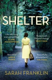 Shelter : One of the year's hottest debuts