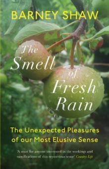 The Smell of Fresh Rain