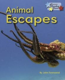 Animal Escapes