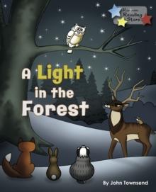 A Light in the Forest