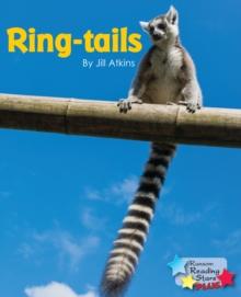 Ring-tails