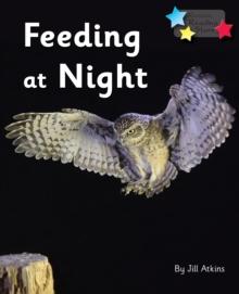 Feeding at Night : Phonics Phase 3