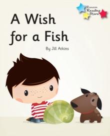 A Wish for a Fish : Phonics Phase 3