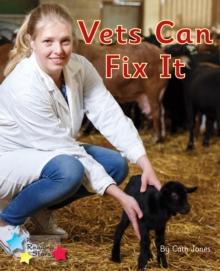 Vets Can Fix It : Phonics Phase 3