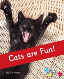 Cats are Fun! : Phonics Phase 4