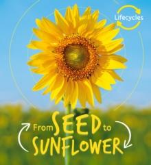 Lifecycles: Seed to Sunflower