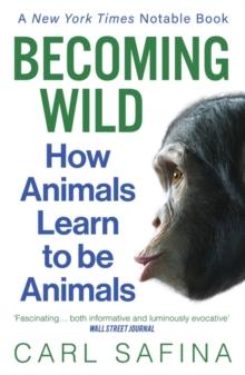 Becoming Wild : How Animals Learn to be Animals