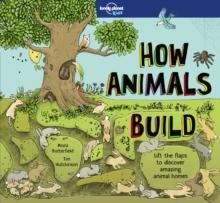 Lonely Planet Kids How Animals Build