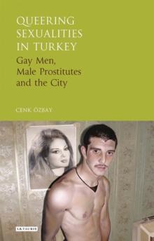 Queering Sexualities in Turkey : Gay Men, Male Prostitutes and the City