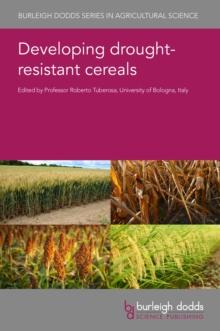 Developing drought-resistant cereals