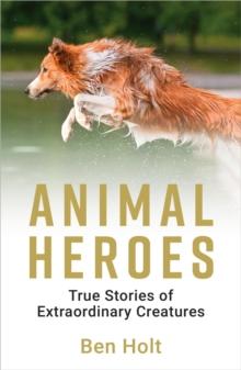 Animal Heroes : True Stories of Extraordinary Creatures