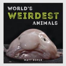 World's Weirdest Animals