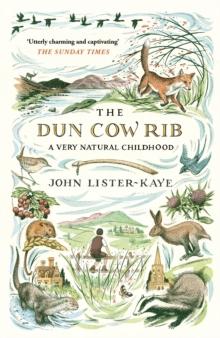 The Dun Cow Rib : A Very Natural Childhood