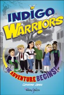 Indigo Warriors : The Adventure Begins!