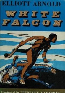 White Falcon