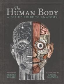 The Human Body : A Pop-Up Guide To Anatomy