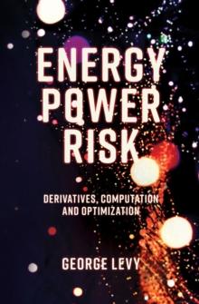 Energy Power Risk : Derivatives, Computation and Optimization