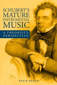 Schubert's Mature Instrumental Music : A Theorist's Perspective