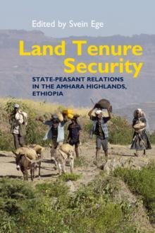 Land Tenure Security : State-peasant relations in the Amhara Highlands, Ethiopia