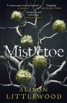 Mistletoe : 'The perfect read for frosty nights' HEAT