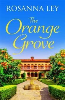 The Orange Grove : a delicious, escapist romance set in sunny Seville