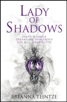 Lady of Shadows : A fantastical whodunit full of heart, plot, fun and magic