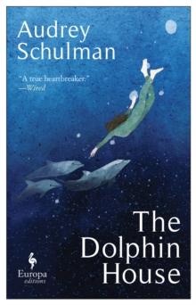 The Dolphin House : A moving novel on connection and community