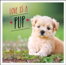 Love is a Pup : A Dog-Tastic Celebration of the World's Cutest Puppies