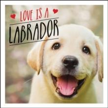 Love is a Labrador : A Lab-Tastic Celebration of the World's Favourite Dog