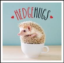 Hedgehugs : A Spike-Tacular Celebration of the World's Cutest Hedgehogs